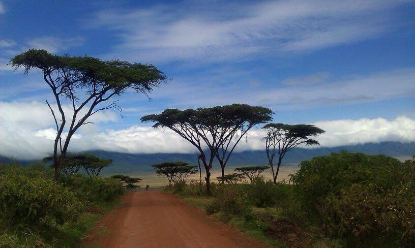 African Sunrise Lodge And Campsite Mto wa Mbu Exterior foto